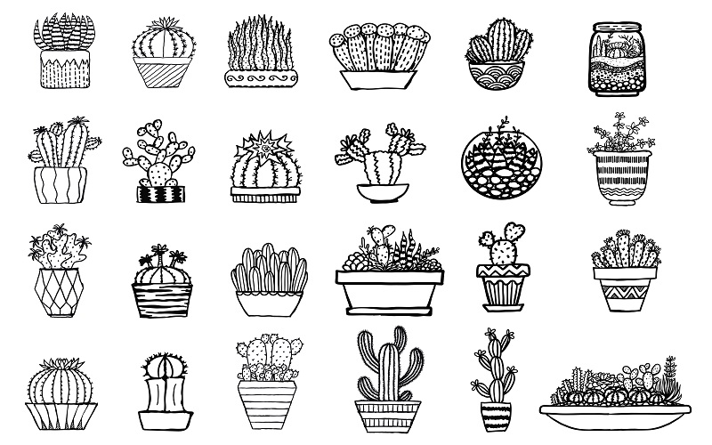 A collage of several cactus - Hand drawn illustrations