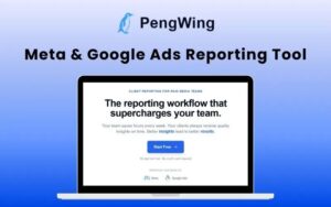 PengWing - Automate Your Meta & Google Ads Reporting in Minutes