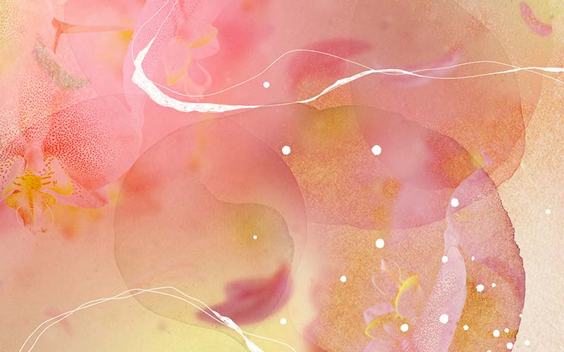 Pink abstract watercolor background