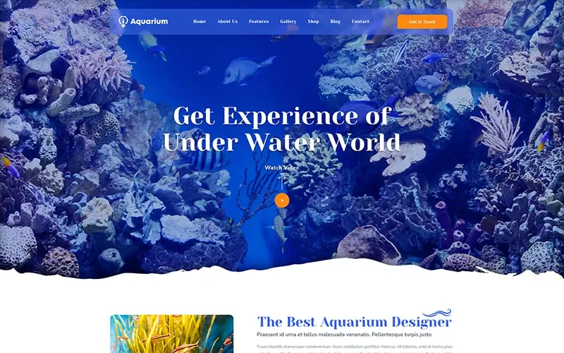 A display of aquarium template to make website from scratch