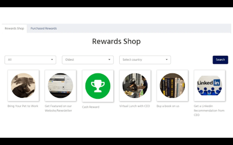 Rewards shop window in BRAVO - Reward & Recognition Tool for an employee's recognition