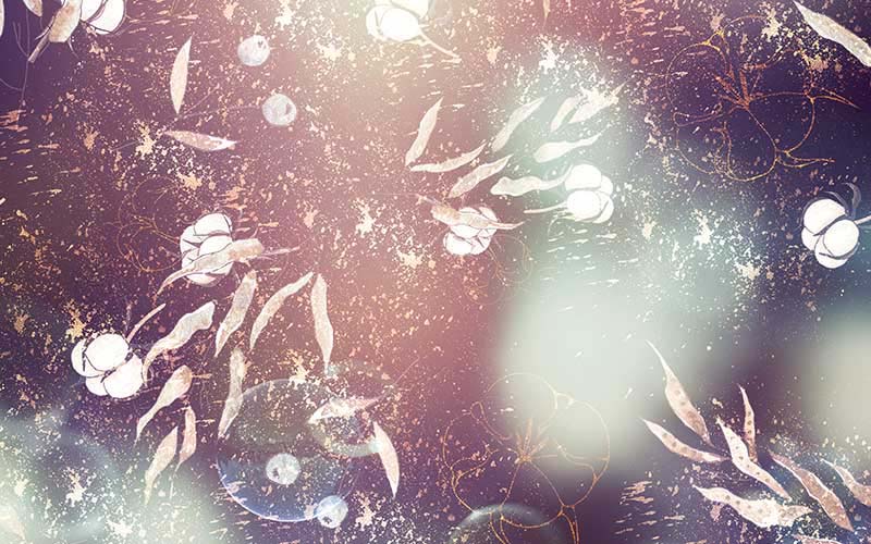 White floral background for beautiful backgrounds