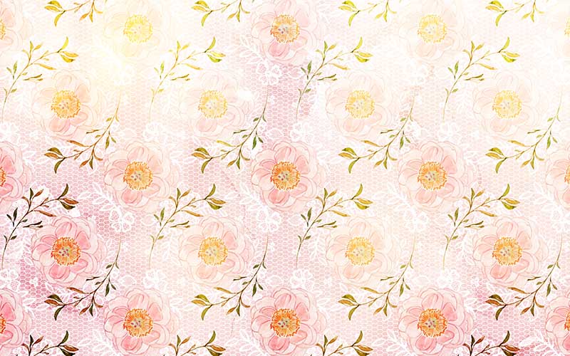 Pink flowers with pink background for beautiful backgrounds