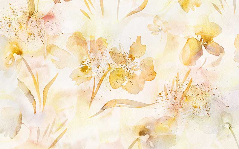 Yellow flowers with white BG