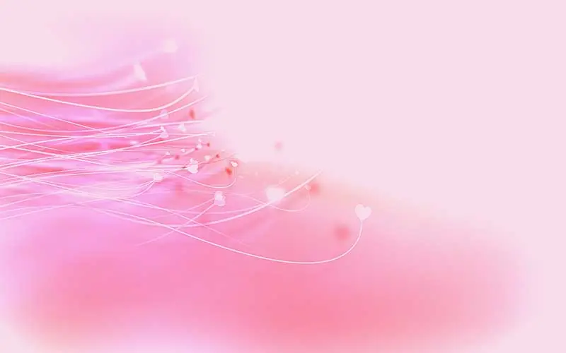 Pink pastel background with a flower for beautiful backgrounds