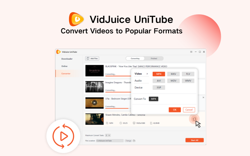A screenshot of the product with converting process in display