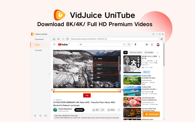 VidJuice UniTube Video Downloader & Converter DealFuel
