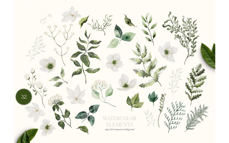 Collage of white flowers in Watercolor Cliparts bundle