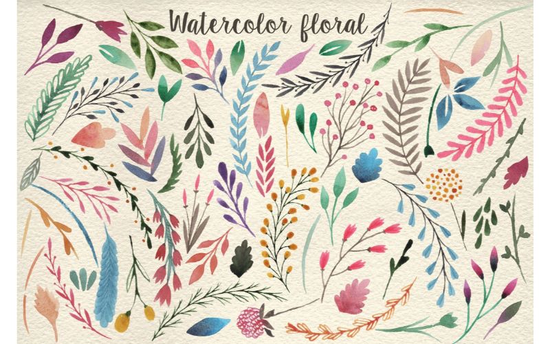 Floral watercolor vector cliparts with typography