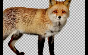 A fox standing against a checkered background in this background removal tool - photo background changer