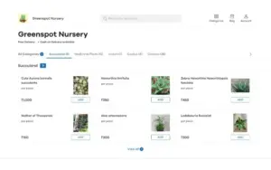 Several plants on display in the window of a site involving plant nursery