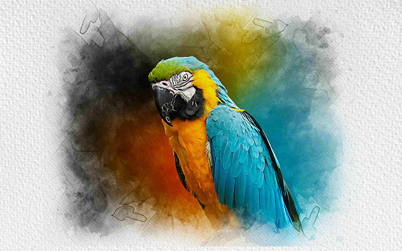 A kingfisher and a portrait effect from Photo Effects Bundle has added.