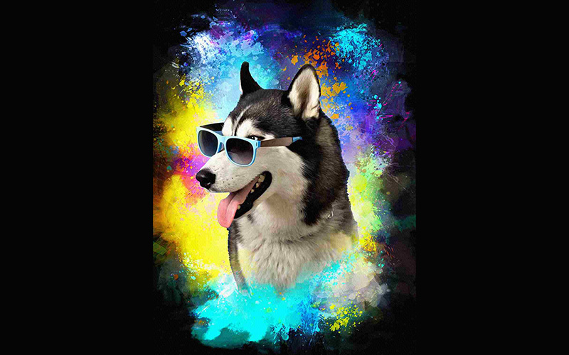 A Husky wearing a cool blue color sunglasses and added a digital painting Photo Effects Bundle.