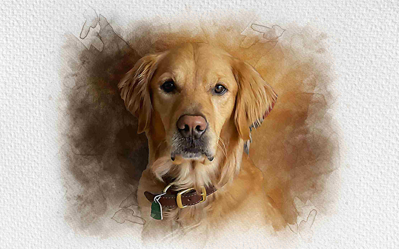 A Golden Retriever and a portrait effect from Photo Effects Bundle have been added.
