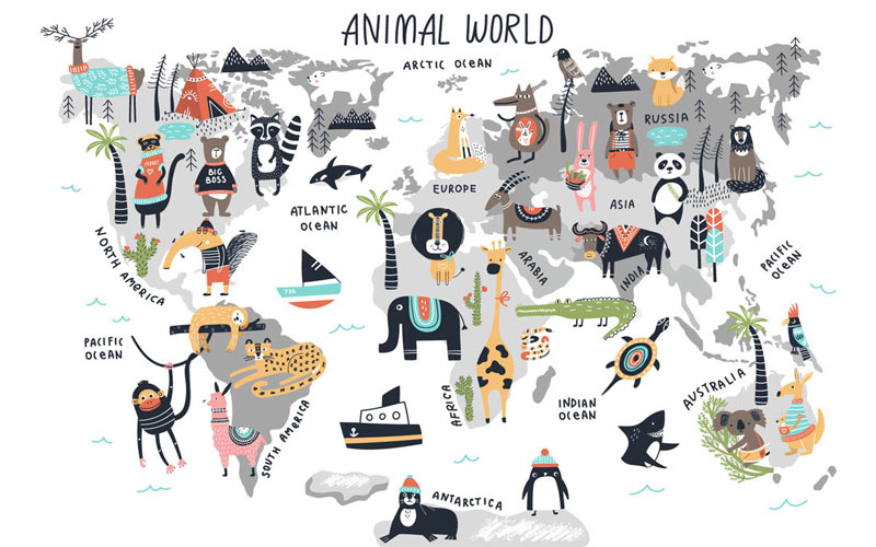 Kids Graphic Design Bundle - World Map