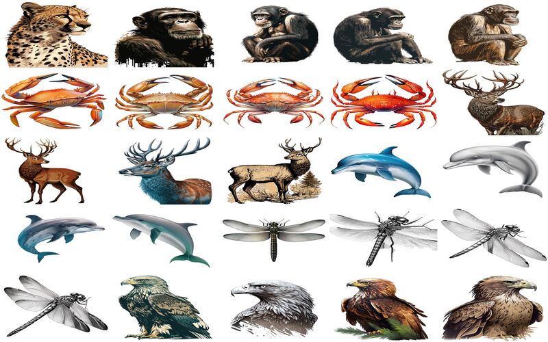 Collage of eagle, dolphin, crab and more animal clipart images