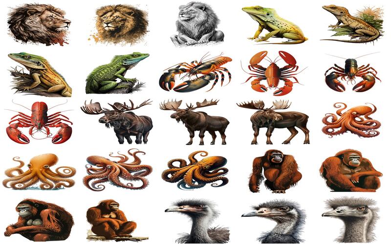 Collage of lion, scorpio,emu and more animal clipart images