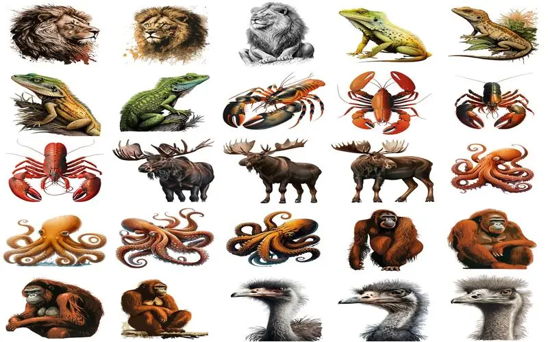 Collage of lion, scorpio,emu and more animal clipart images