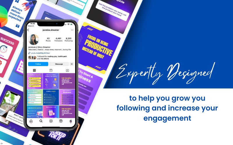 A preview of Instagram Page of junelow_dreamer of this collection. Along with a text to the right which says, 'Expertly Designed' and a subtext written below. Instagram post templates