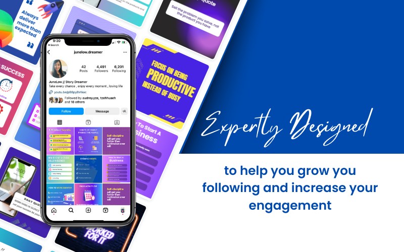 A preview of Instagram Page of junelow_dreamer of this collection. Along with a text to the right which says, 'Expertly Designed' and a subtext written below.