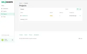 projects tab showcasing website SEO score overview