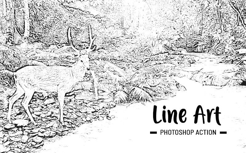 Photograph of a deer in a landscape created using Line Art Sketch Photoshop Action