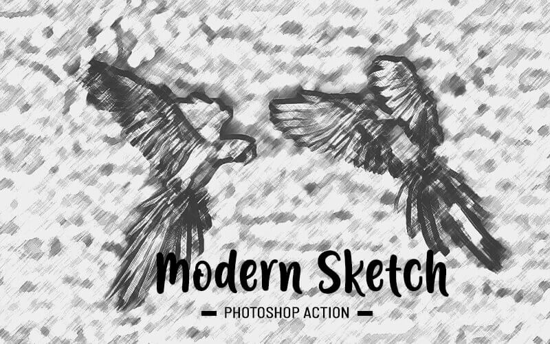 Two eagles having a fight sketch created using mordern sketch action