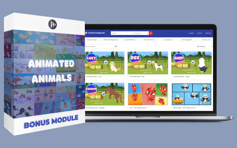 Animated-Animals videos preview on pc screen displaying animated dogs training