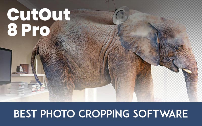 CutOut 8 Pro: Best Photo Cropping Software