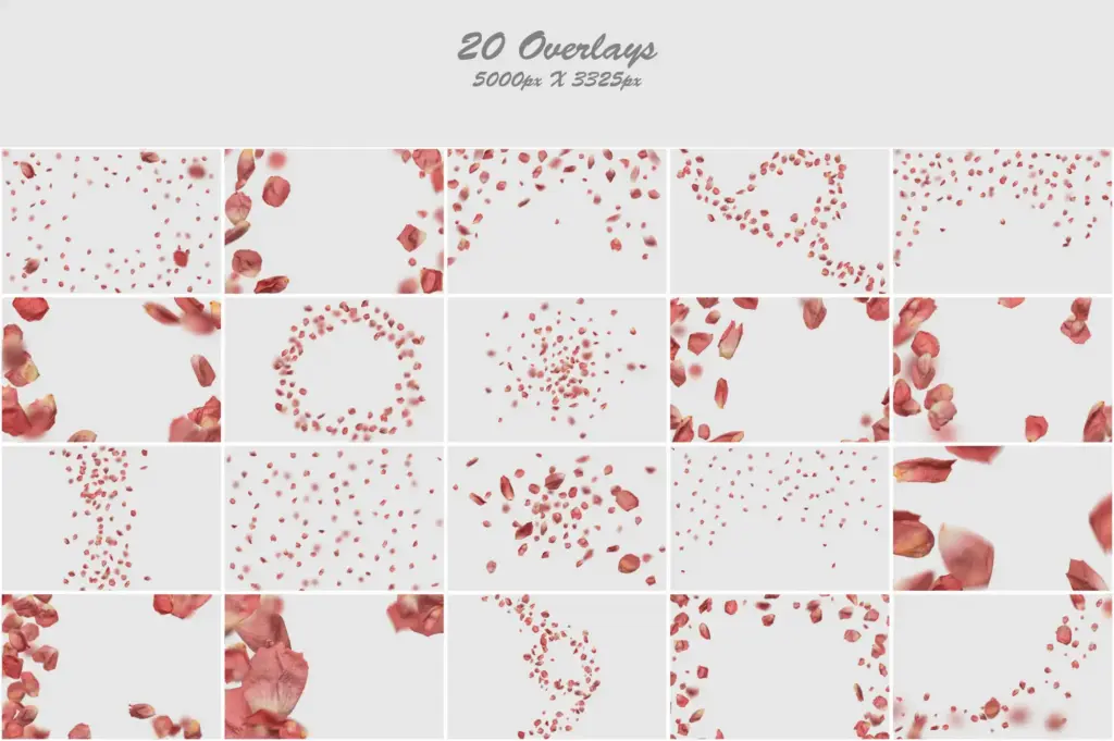 Creative arrangement of pink leaf shapes