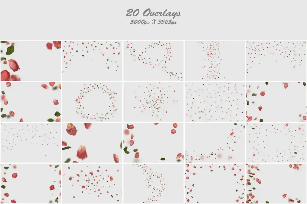 Captivating pink leaves mosaic