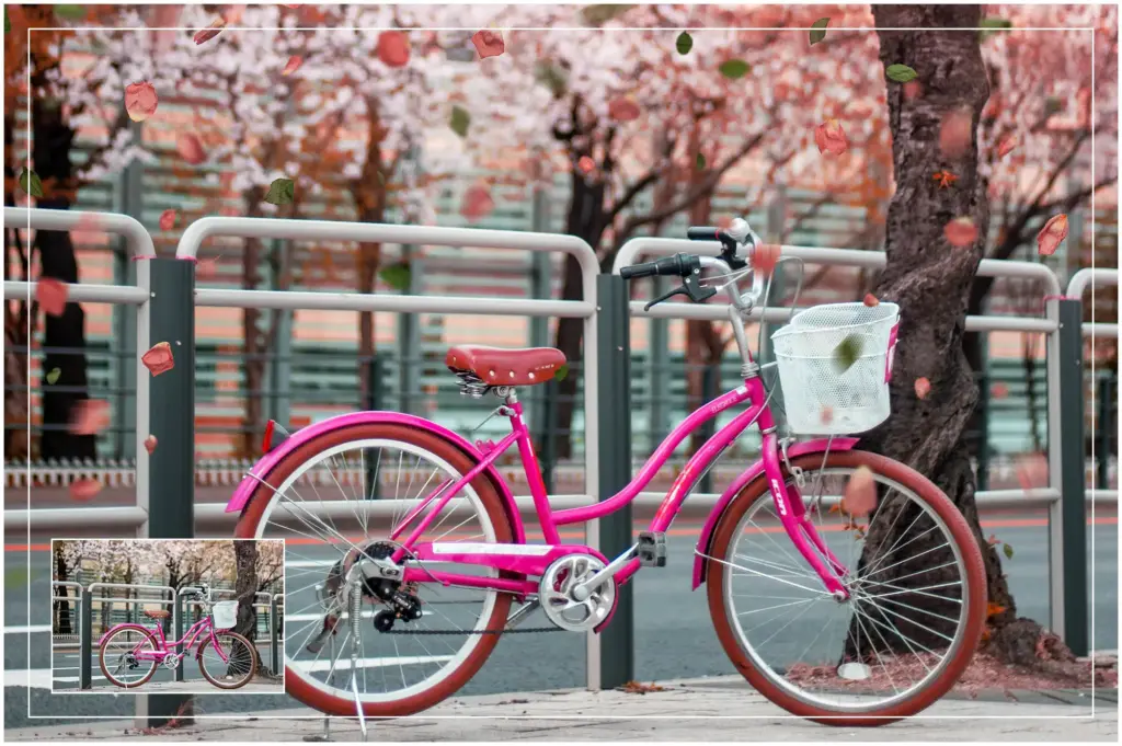 Dead Pink Petals and Leaves overlay used on a picture of a pink bicycle parked on a footpath under a tree