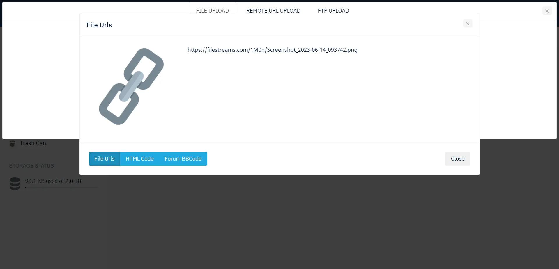 <strong>File URL</strong>