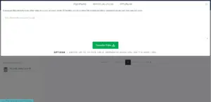 FileStreams remote url upload showcasing direct file saving feature from other websites and urls