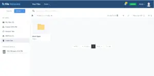 FileStreams Trash can displaying deleted files and restoring option