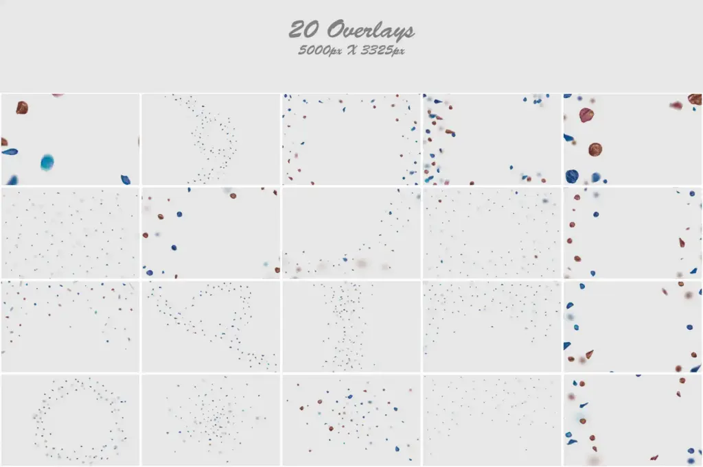 Whimsical blue and pink foliage composition