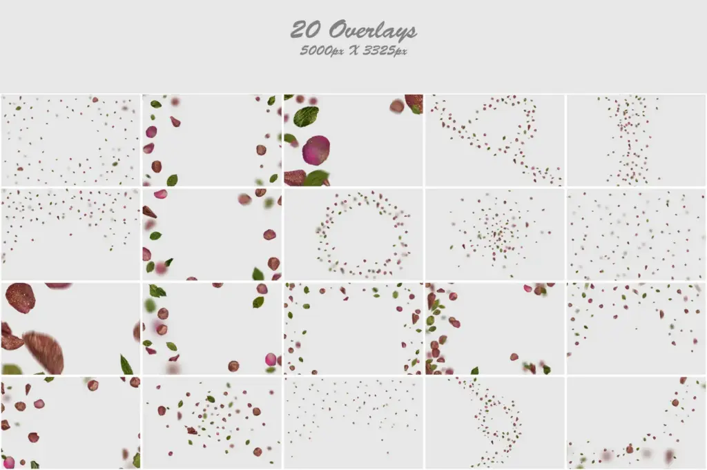 Artistic arrangement of sparkling pink leaves and petals