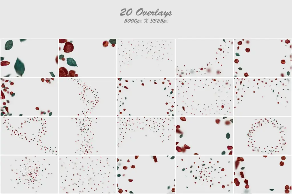 Vibrant red petals and bluish leaves collage with a touch of glitter