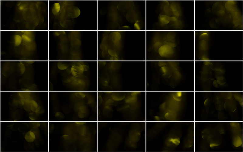Golden orbs of light intertwined in a captivating bokeh symphony