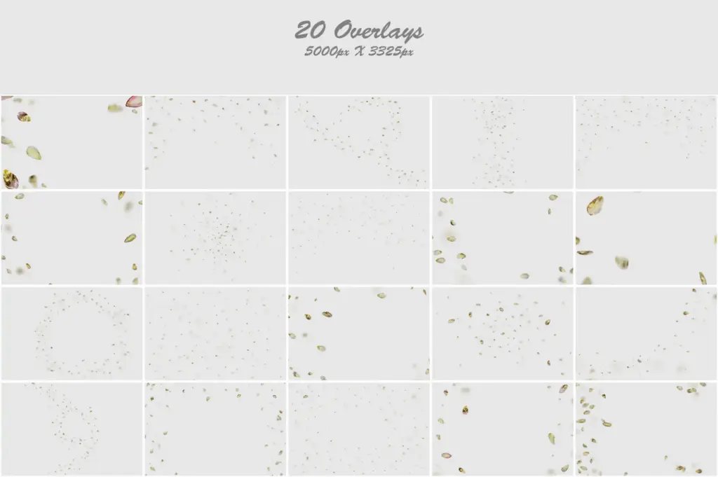 Golden and white tulip petals arranged in an artistic collage