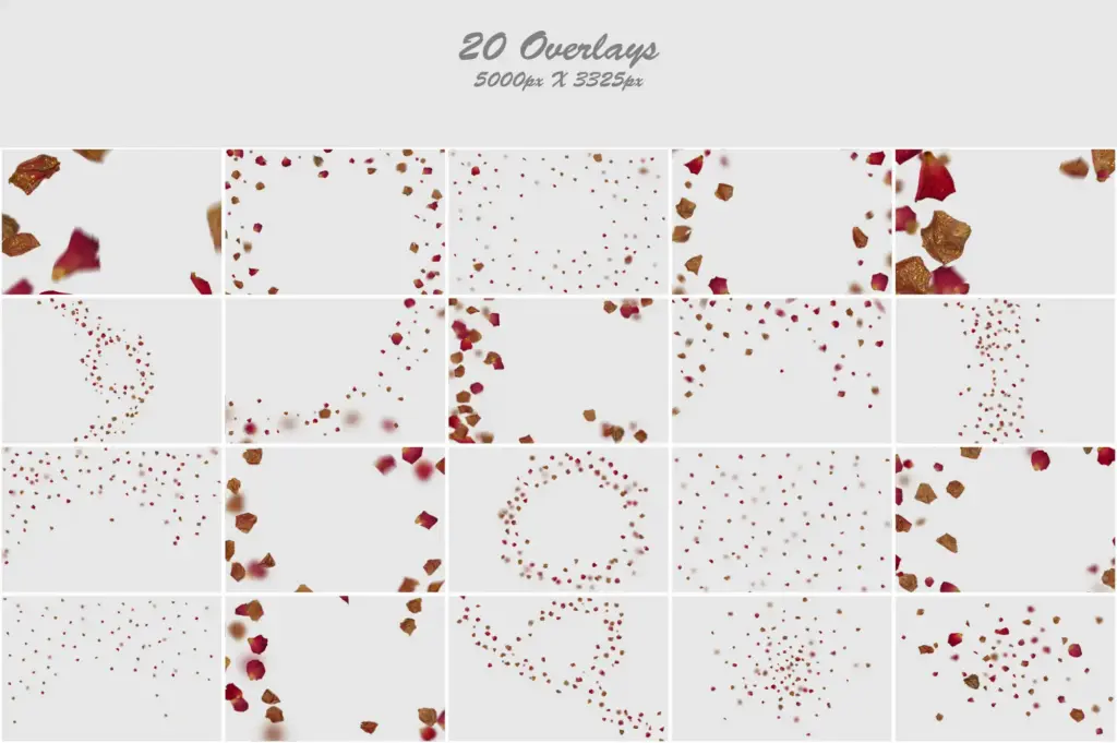 Golden rose foliage arranged in a stunning collage