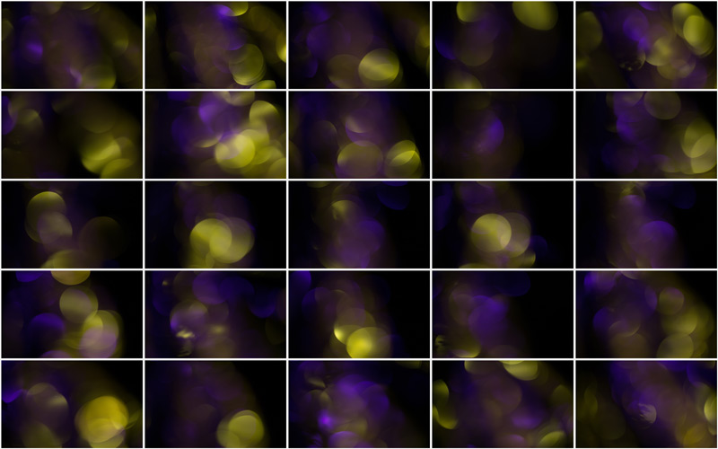 A burst of radiant green and violet bokeh, illuminating the image with a refreshing glow.