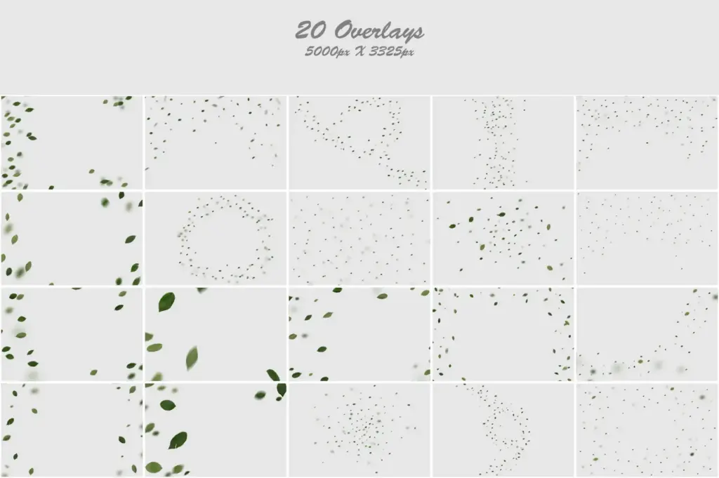 Artistic collage featuring various leaves in a captivating arrangement