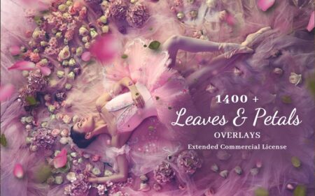 Feature image of 1400+ leaves and petals overlays bundle