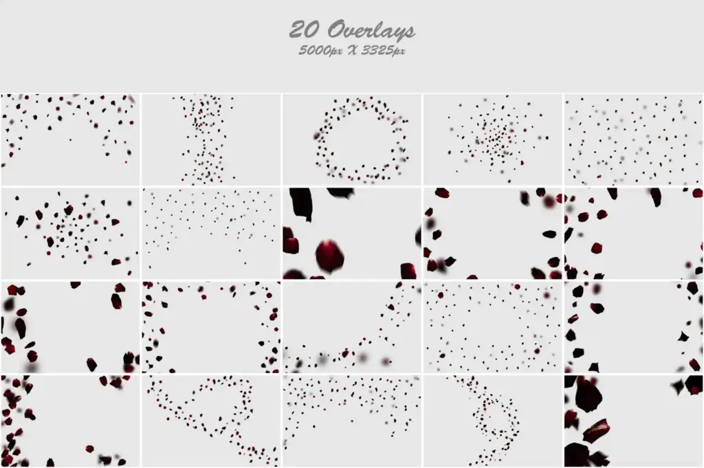 Striking collage of blood-red petals and black leaves