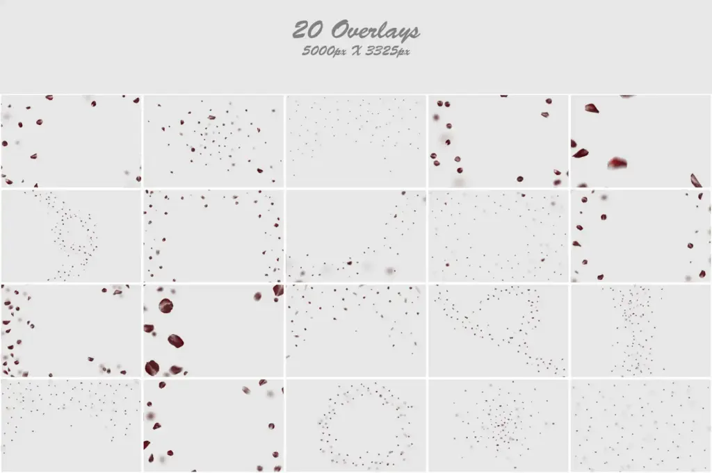 Captivating collage of blood-red and silver sparkly rose petals