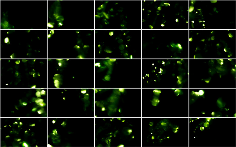 Soothing light green abstract background with a tranquil ambiance