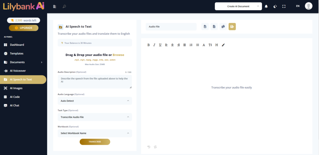 Lilybank AI speech to text converter tool displaying file upload option, transcribe audio file custom options