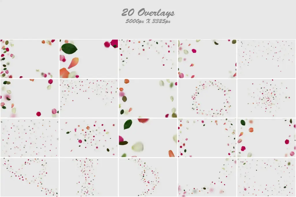 Vibrant mix of petals and leaves in an artistic collage