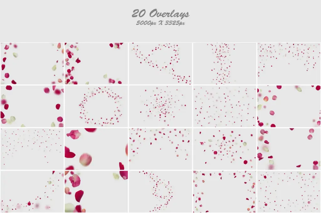 Graceful composition of pink and white petals in a captivating collage